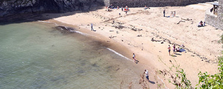 Readymoney Cove